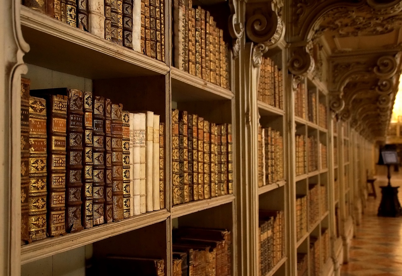 palacio nacional de mafra, library, books